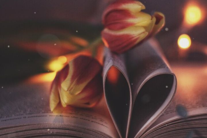 Fantasy Romance Books